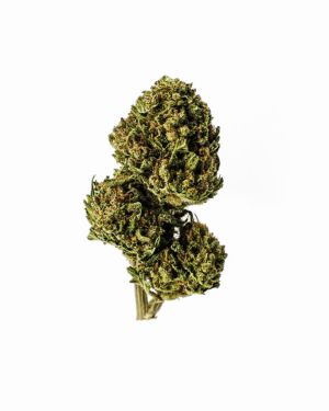 Gelato