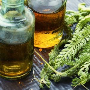 cbd_1